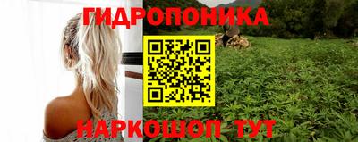 jwh Гай